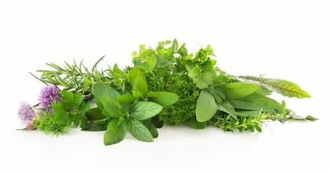 Natural Ingredients in Cosmetics