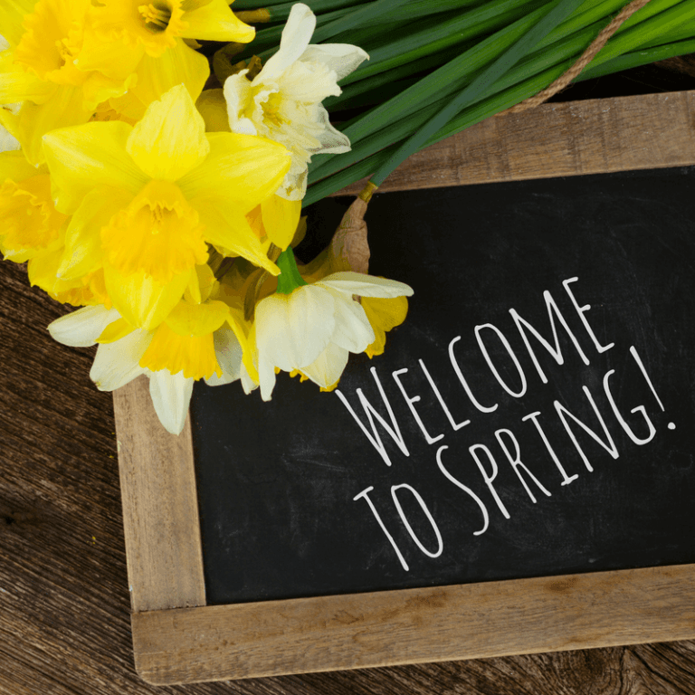 Welcome to Spring!