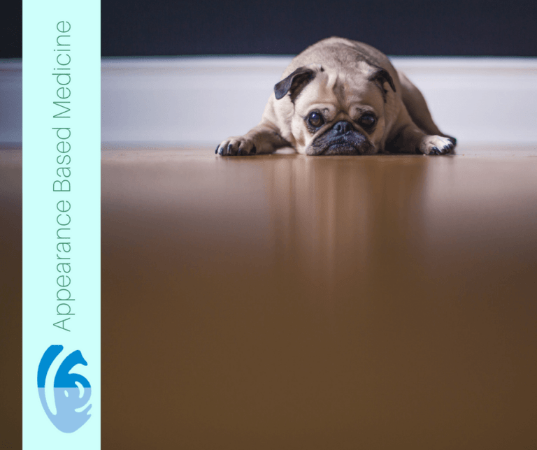 Why do wrinkles appear?