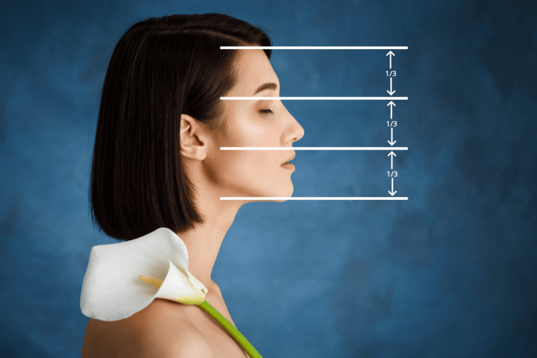 Face Profile 3rds
